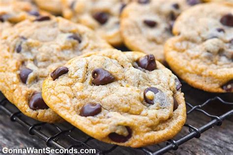 alton-brown-chocolate-chip-cookies-chewy-gonna image