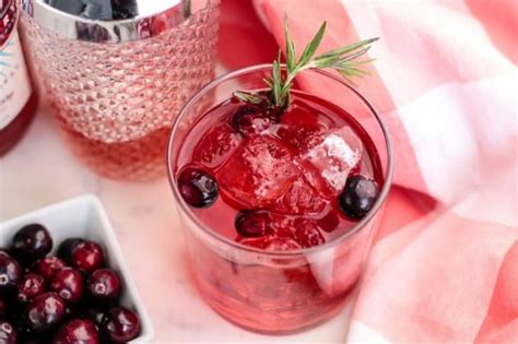 spiced-cranberry-cocktail-recipe-tammilee-tips image