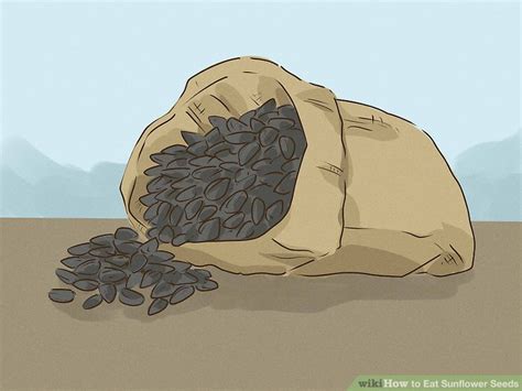 how-to-eat-sunflower-seeds-with-pictures-wikihow image