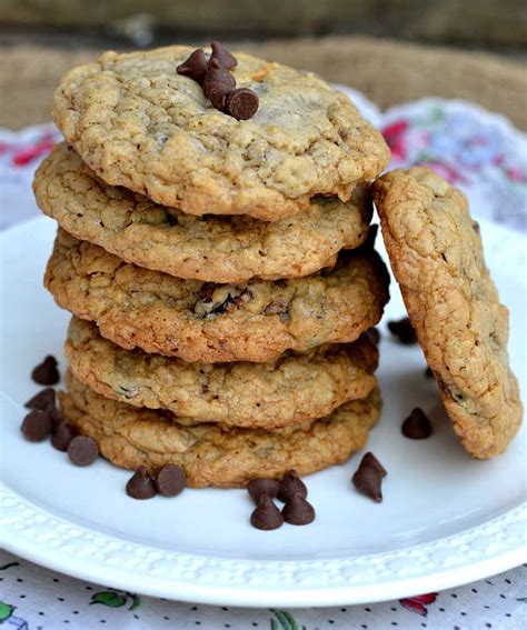 chewy-oatmeal-chocolate-chip-raisin-cookies-crafty image