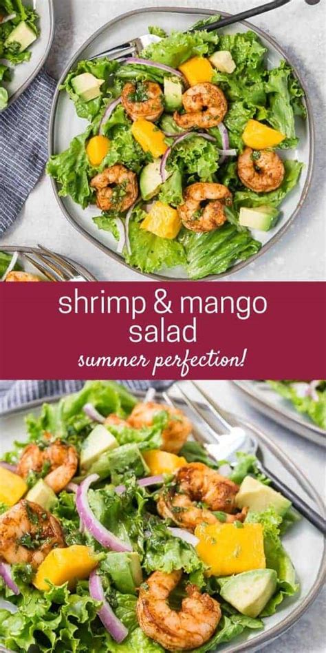 shrimp-salad-with-mango-and-avocado-rachel-cooks image