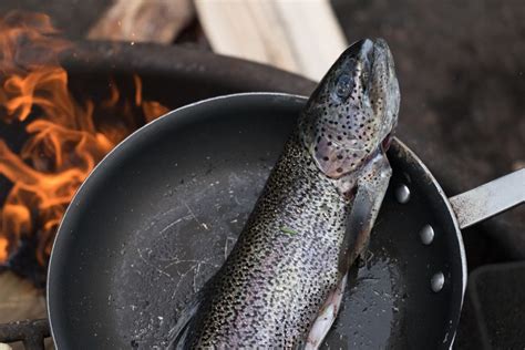 quick-delicious-3-ways-to-cook-fish-over-a-campfire image