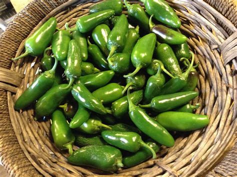 pepperoncini-vs-jalapeo-showdown-pepperscale image