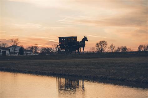 home-the-amish-buggy-great-prices-on-all-amish image