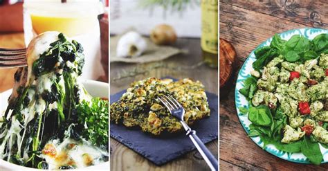 34-delicious-fresh-spinach-recipes-to-bring-out-your image