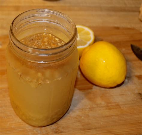 homemade-lemon-lime-soda-ginger-bug-happy image