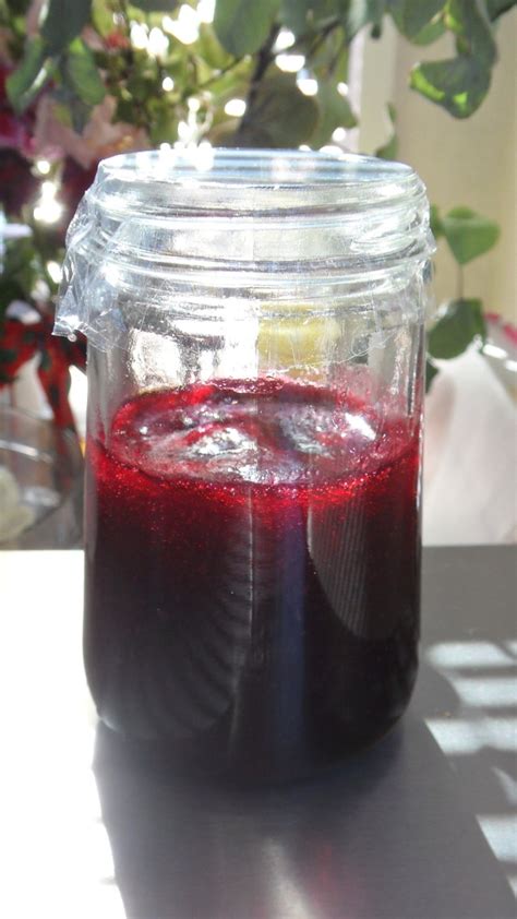boysenberry-jelly-a-quick-recipe-and-a-standard image