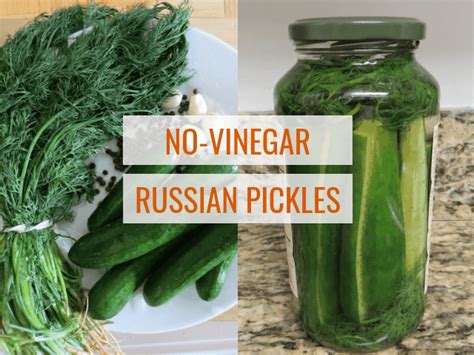 no-vinegar-russian-pickles-feeding-bytes image