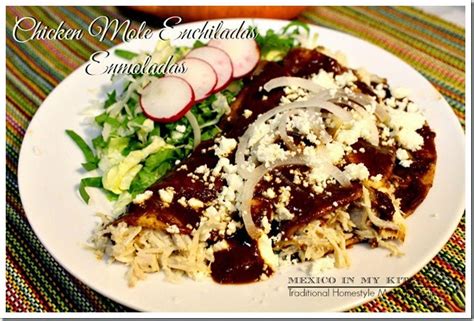 chicken-mole-enchiladas-enmoladas-de-pollo-mexican image
