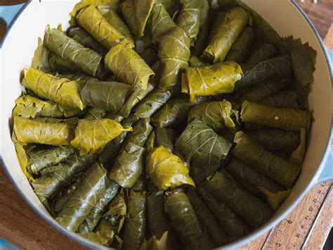 greek-stuffed-grape-leaves-with-rice-and-herbs image