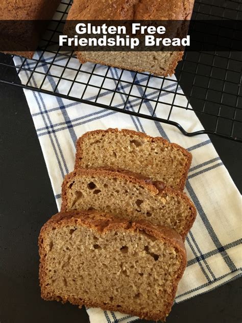 gluten-free-friendship-bread-lynns-kitchen-adventures image