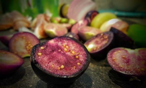 purple-tomatillo-salsa-salsa-morada-northwest-zest image