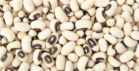 black-eyed-pea-nutrition-benefits-and-how-to-cook-dr image