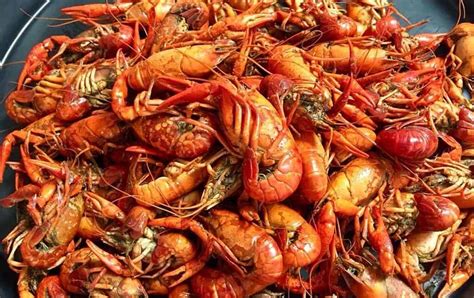 louisiana-cuisine-you-cant-miss-these-15-dishes image