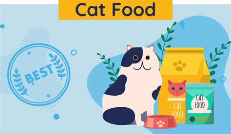 10-best-cat-foods-in-2022-unbiased-review-all-about image