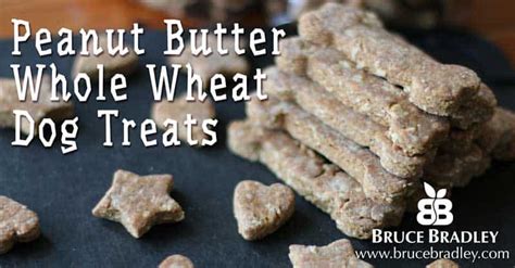 recipe-peanut-butter-whole-wheat-dog-biscuits-bruce image