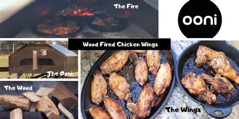 how-to-cook-wood-fired-wings-that-helpful-dad image
