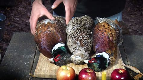 grilled-pheasant-bbq-pit-boys image
