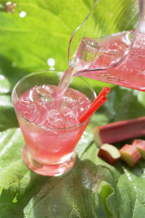 polish-rhubarb-honey-drink-recipe-the-spruce-eats image