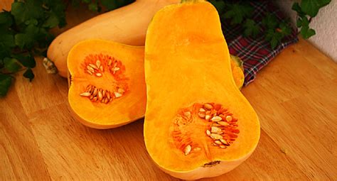 3-ways-to-cook-butternut-squash-webmd image