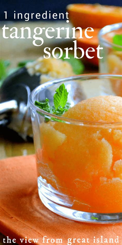 healthy-one-ingredient-tangerine-sorbet-the-view-from image
