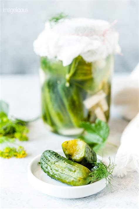 russian-dill-pickles-quick-and-low-salted image