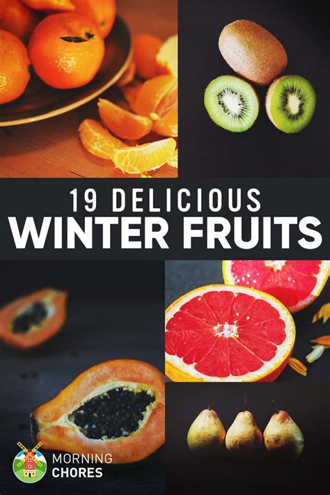 winter-fruits-list-19-delicious-fruits-you-can-eat-grow image