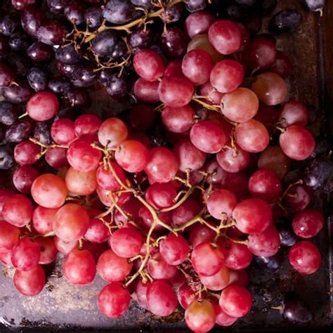recipe-roasted-grape-granita-red-wine-kitchn image