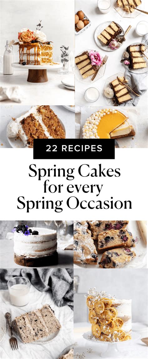 22-spring-cakes-for-every-spring-occasion-broma-bakery image