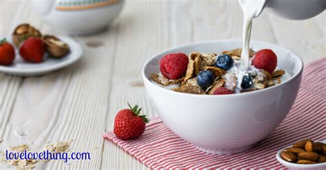 18-healthy-homemade-breakfast-cereal-recipes-its-a-lovelove image