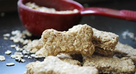 quick-and-easy-dog-biscuit-recipe-proud-dog-mom image