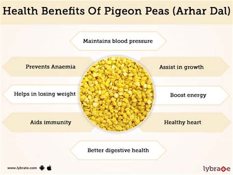 pigeon-peas-arhar-dal-benefits-and-its-side-effects image