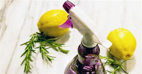 homemade-bug-spray-recipes-for-your-skin-home image