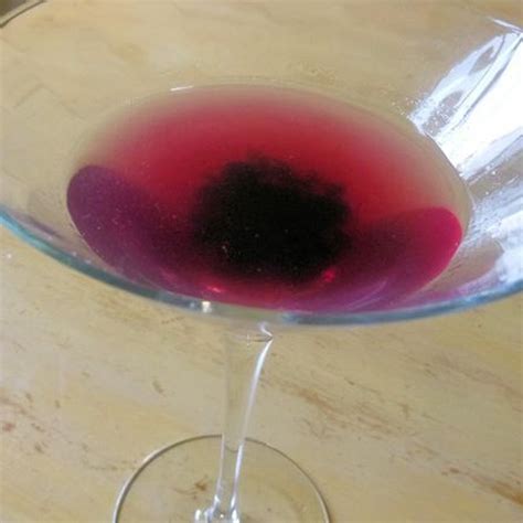 best-blueberry-martini-recipe-how-to-make-wild image