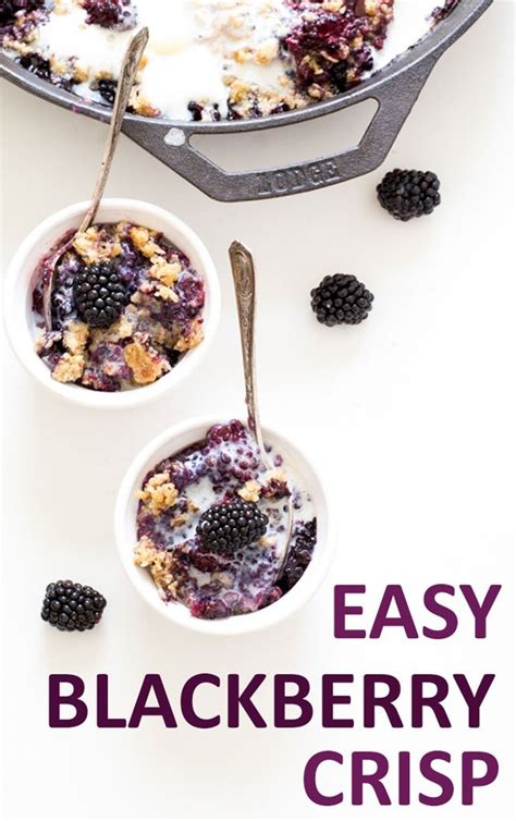 easy-blackberry-crisp-only-10-minutes-chef-savvy image