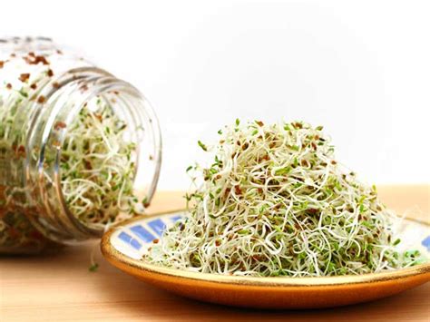 alfalfa-benefits-nutrition-facts-side-effects image