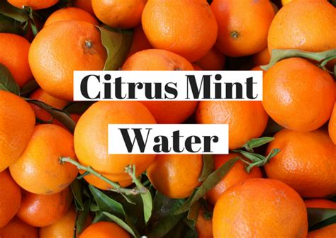 citrus-mint-water-food-literacy-center image