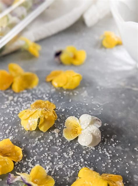 how-to-make-lovely-edible-candied-flowers image