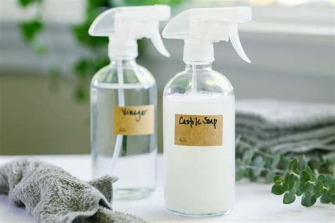 homemade-enzyme-cleaner-for-dog-urine-pet-spruce image