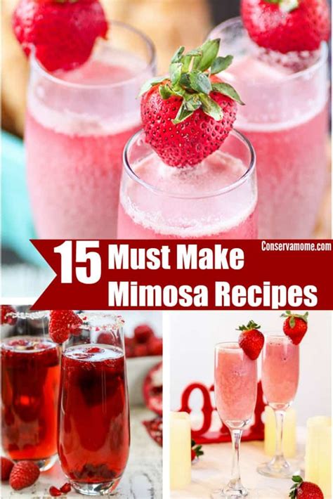 15-must-make-mimosa-recipes-that-will-be-a-hit image