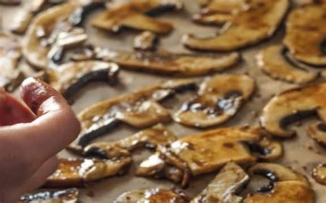 15-portobello-mushroom-recipes-that-will-make-your image