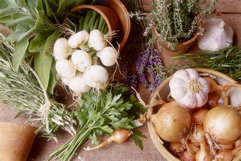 5-great-herbs-for-seasoning-onion-dishes-the-spruce-eats image