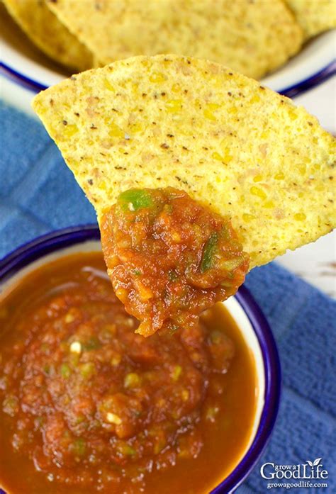 zesty-salsa-recipe-for-canning-grow-a-good-life image