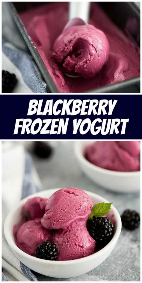 blackberry-frozen-yogurt-recipe-girl image