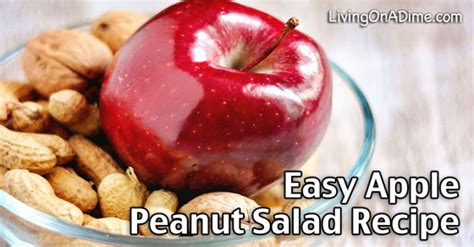 easy-apple-and-peanut-salad-recipe-livingonadimecom image