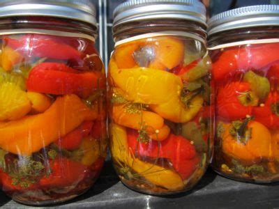 5-easy-steps-to-canning-peppers-off-the-grid-news image