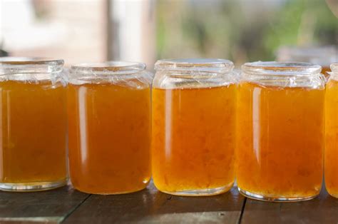 grapefruit-marmalade-recipe-the-spruce-eats image