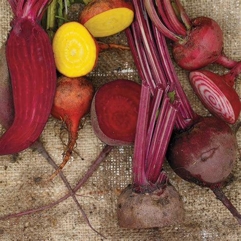 sauted-beets-with-red-onions-ricardo image