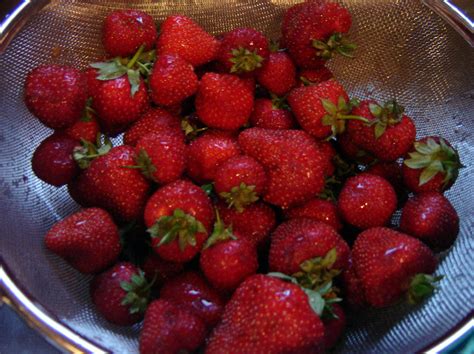 strawberry-gelato-recipe-italy-logue image