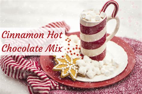 cinnamon-hot-chocolate-mix-recipe-money-in-your-tea image